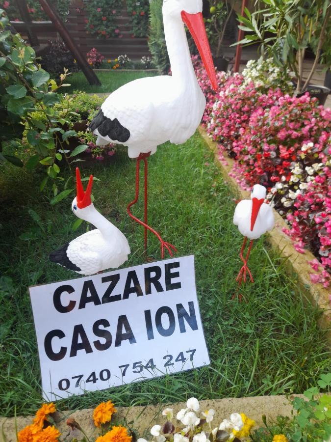 شقة Casa Ion هوريزو المظهر الخارجي الصورة